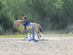 img_3556_web